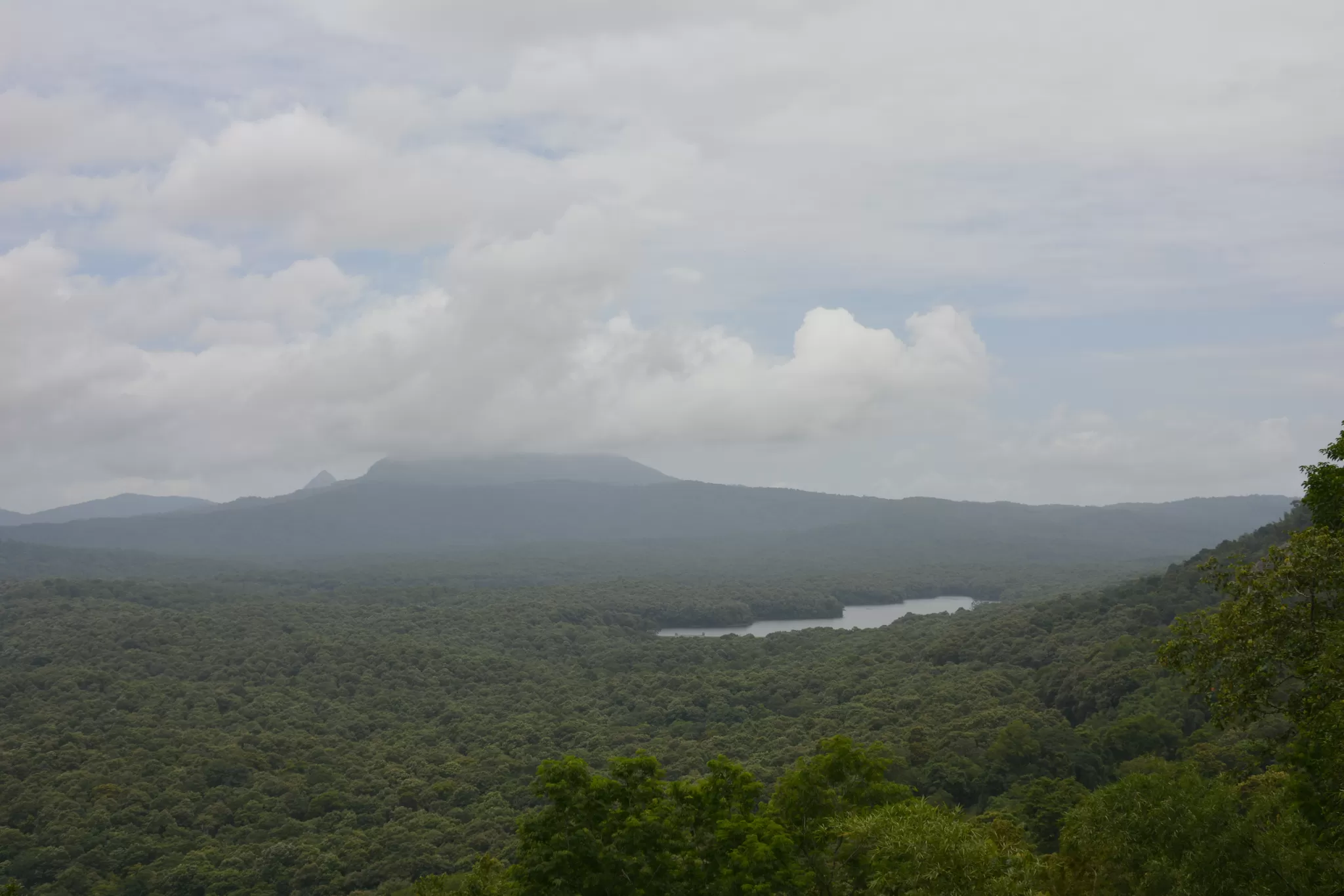 Photo of Parambikulam Wildlife Sanctuary, Kurichi