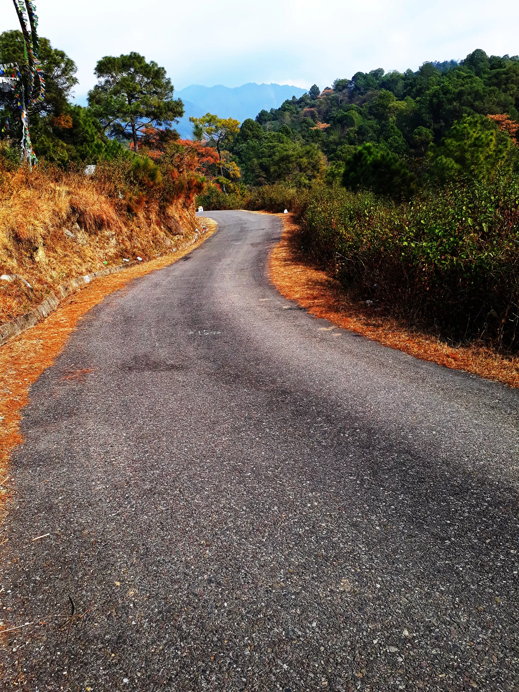 Photo of kanatal, uttarakhand