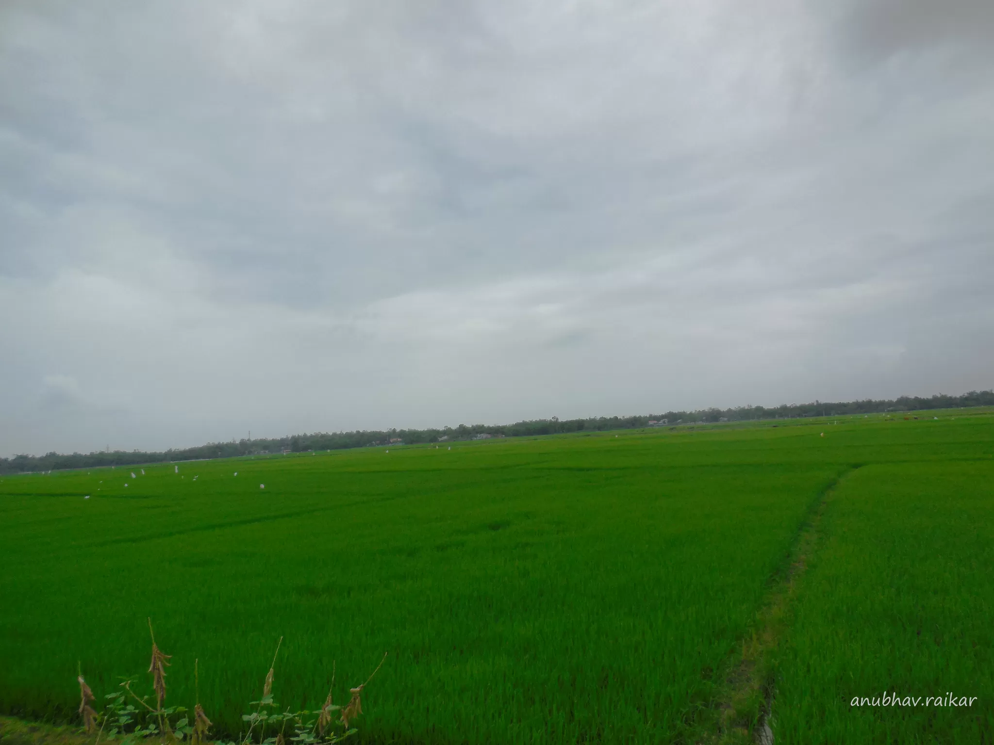 Photo of Ba Na Hills, Da Nang
