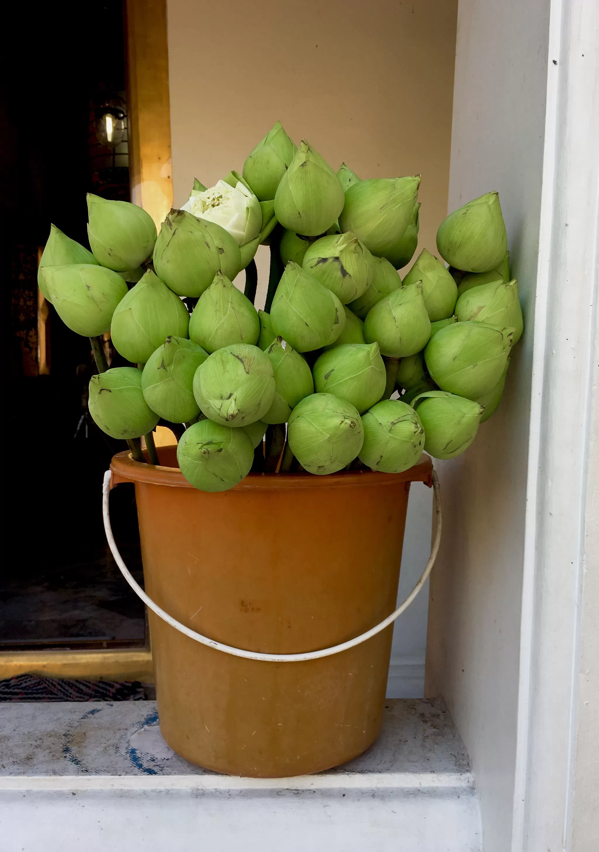 Photo of Wat Arun, Bangkok
