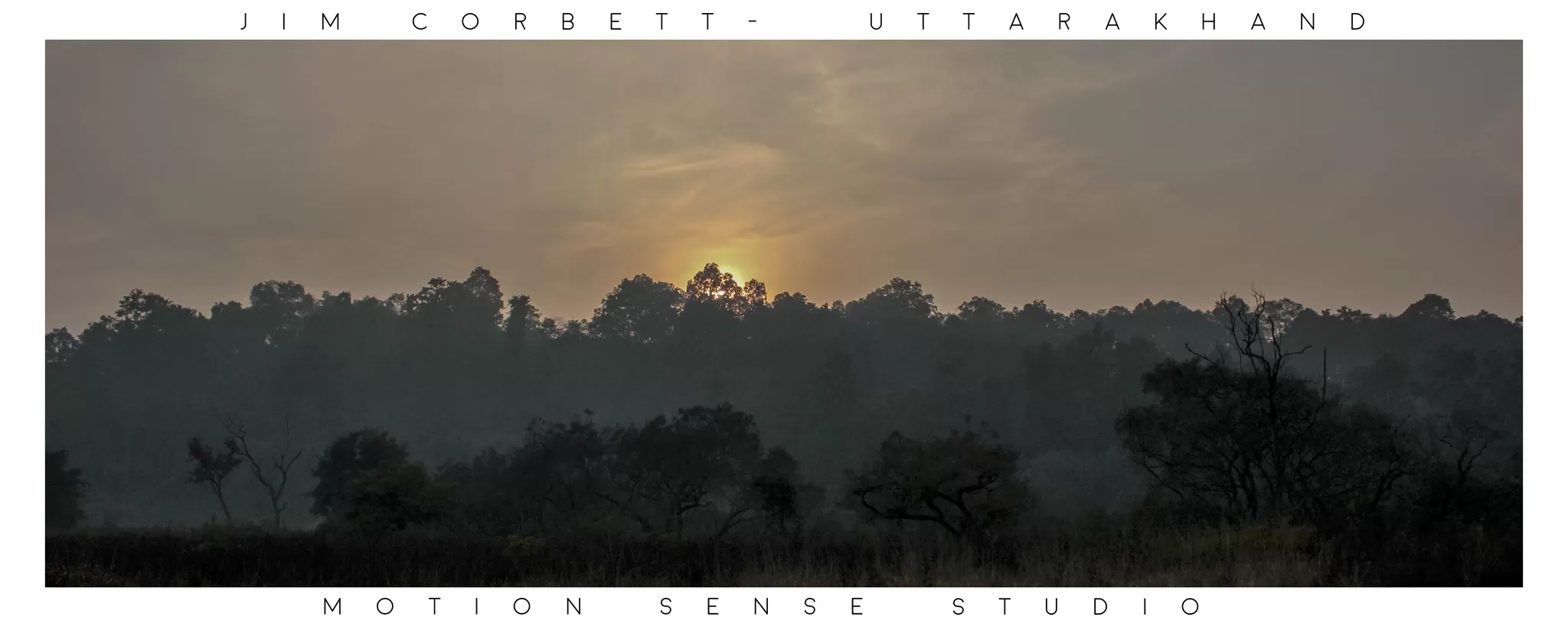 Photo of Jim Corbett National Park, Ramnagar