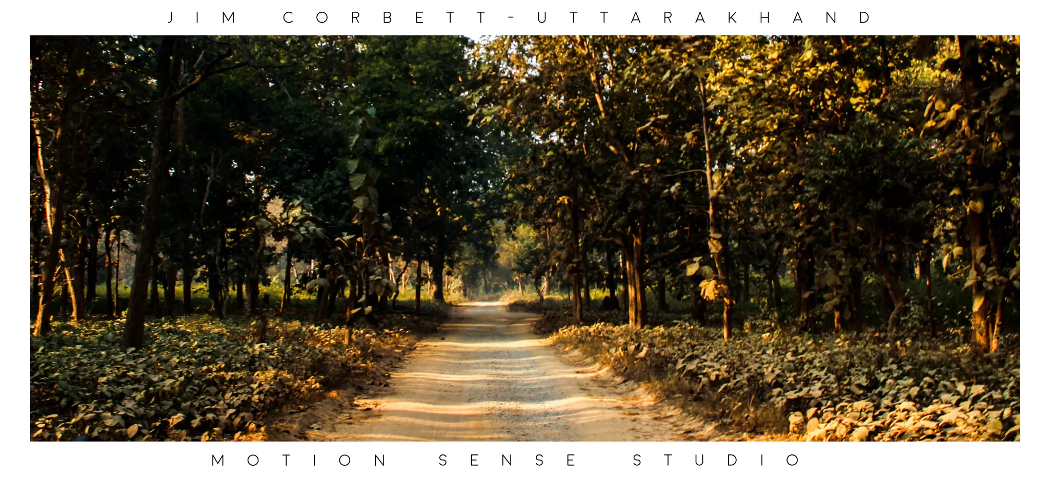 Photo of Jim Corbett National Park, Ramnagar