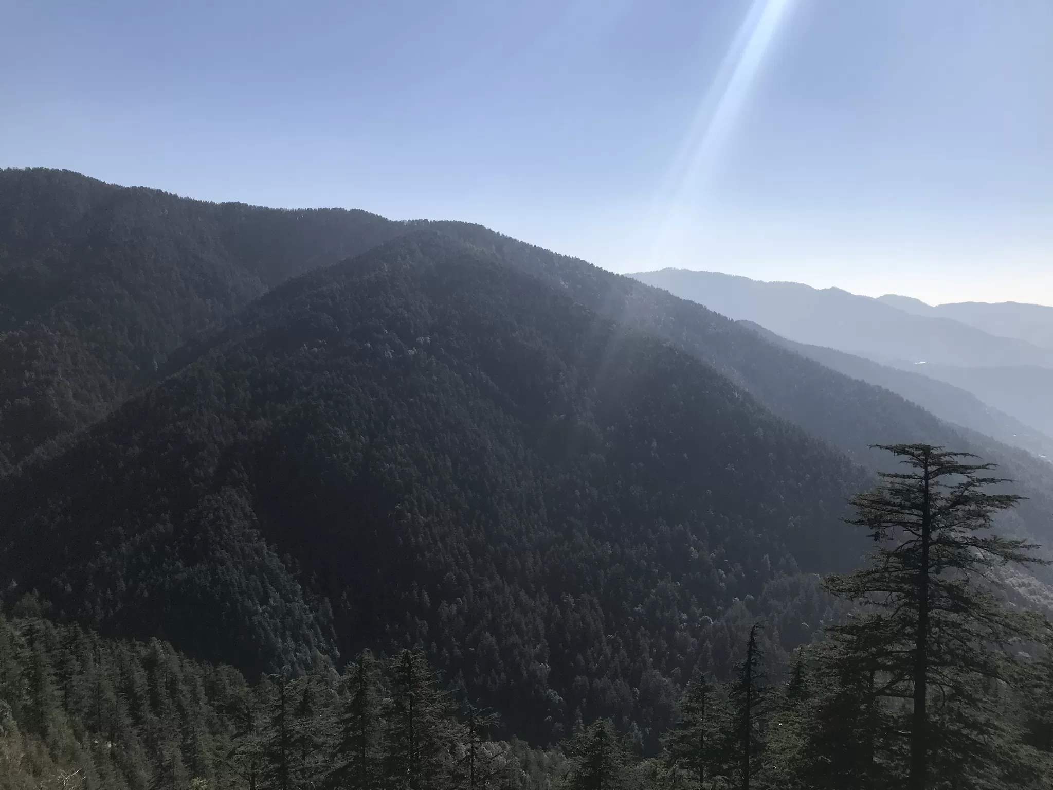 Photo of green valley shimla, Shimla