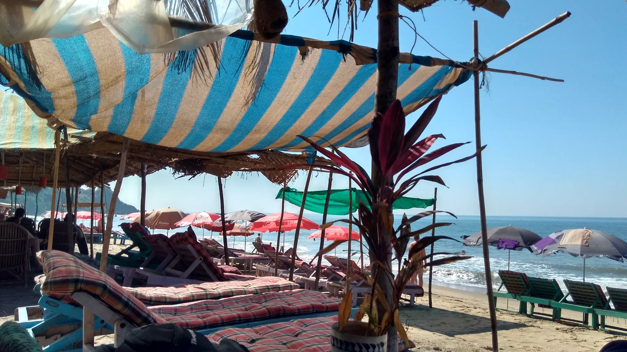Photo of Querim Beach, Goa