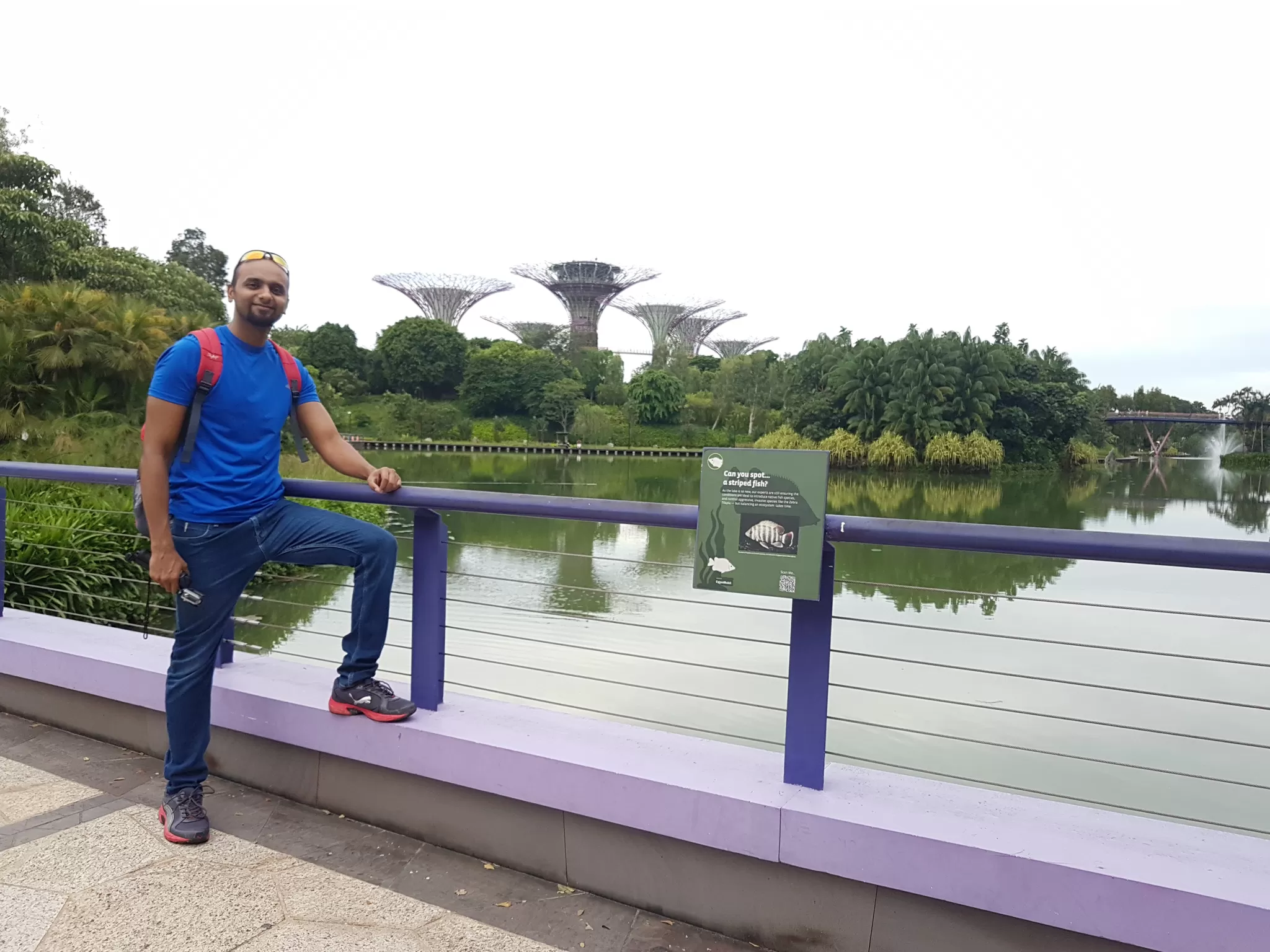 Photo of Gardens By The Bay, Singapore