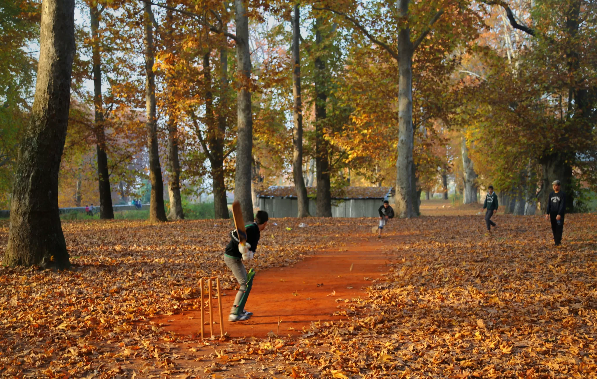 Photo of Nishat Garden, Srinagar