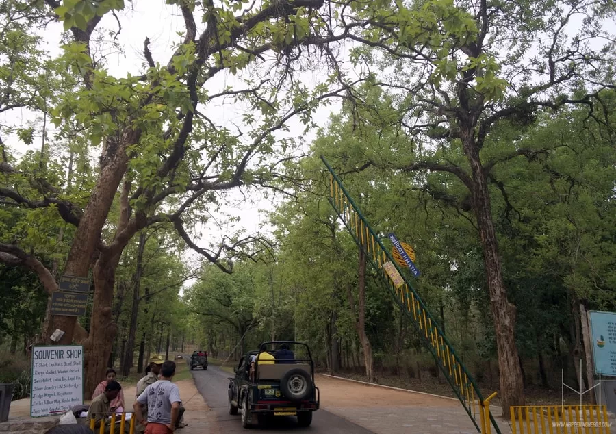 Photo of Kanha Tiger Reserve, Mandla