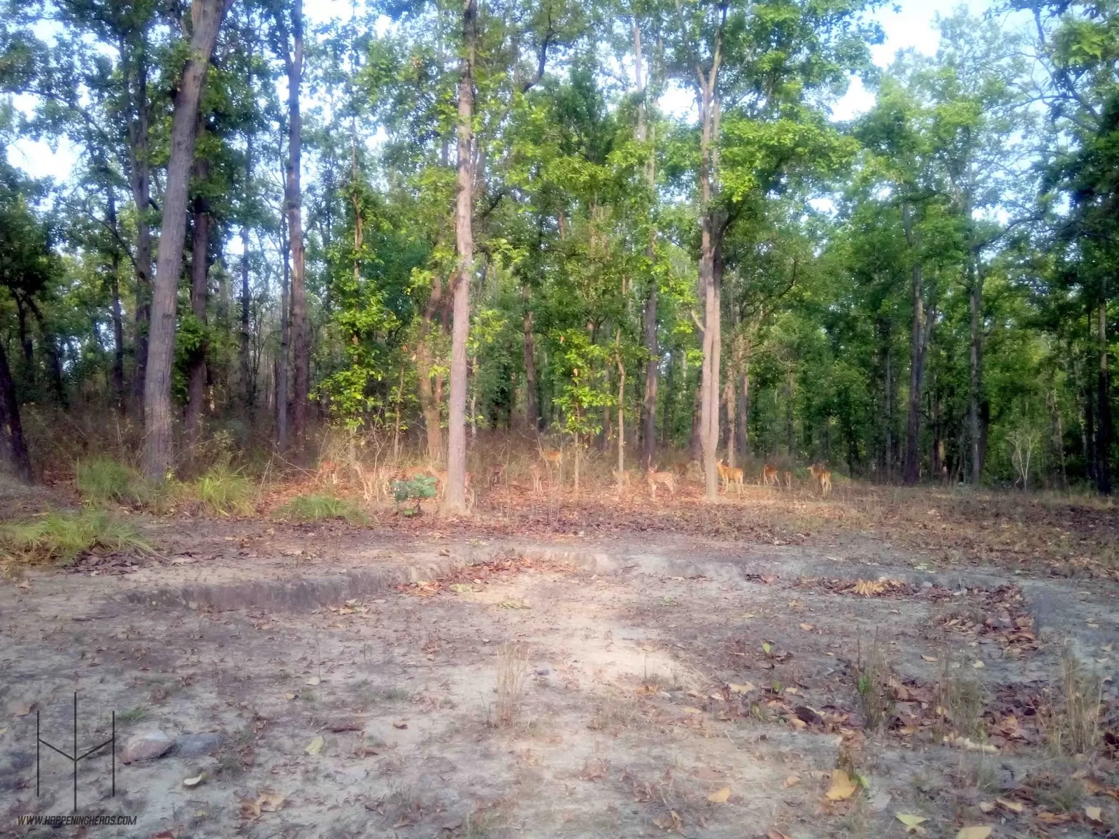 Photo of Kanha Tiger Reserve, Mandla