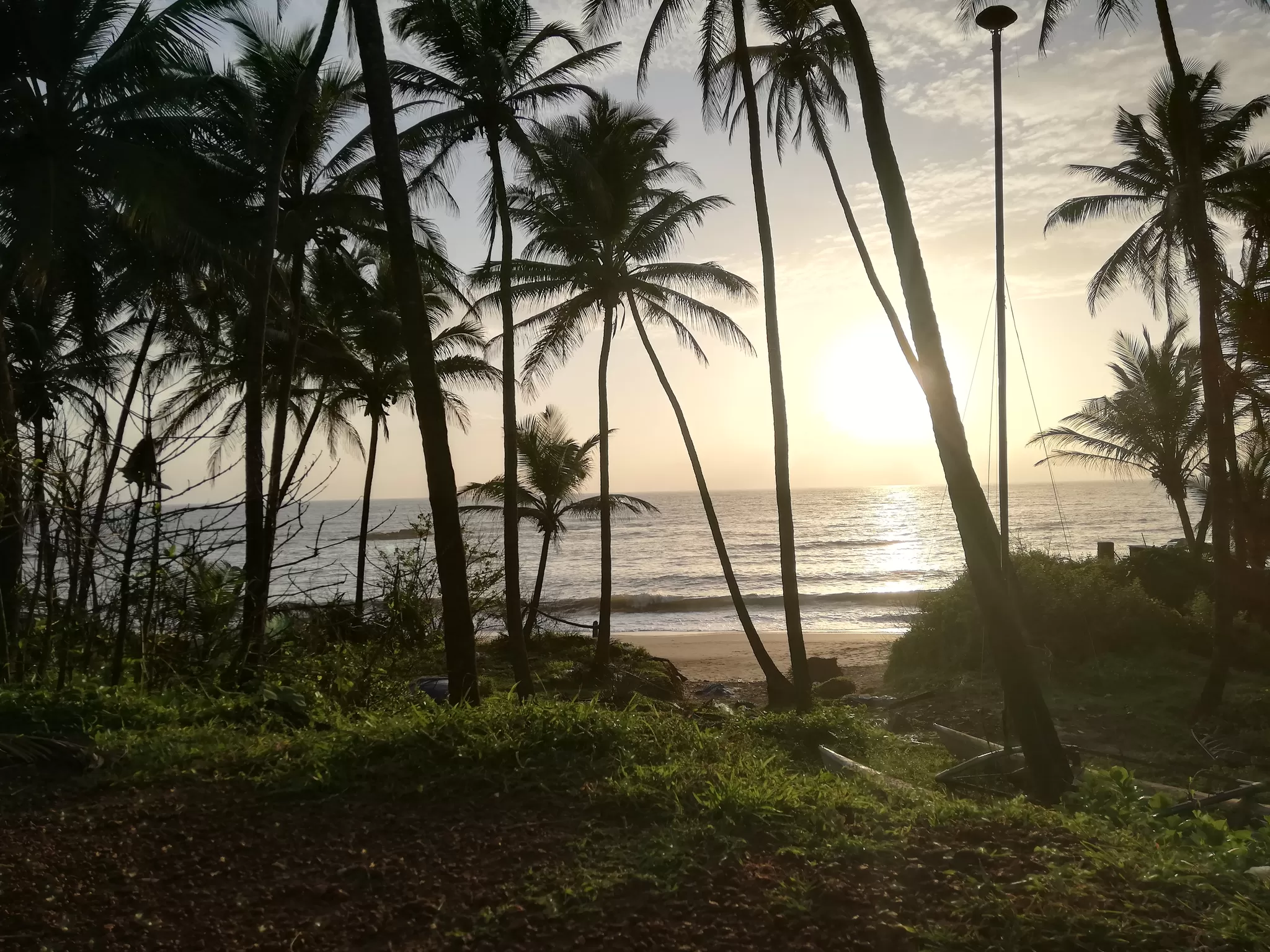 Photo of curlies beach shack, Goa