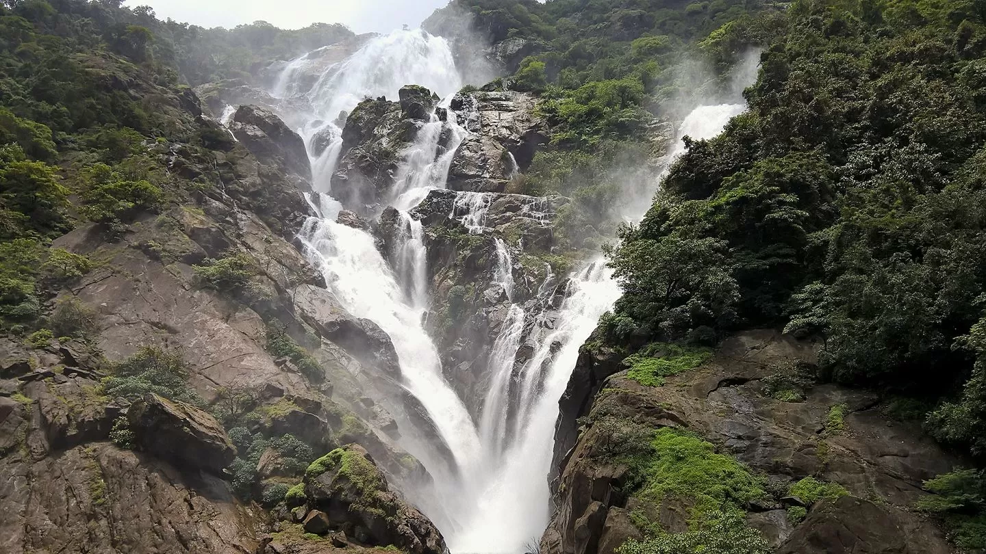 Dudhsagar Falls, Bhagwan Mahavir Sanctuary