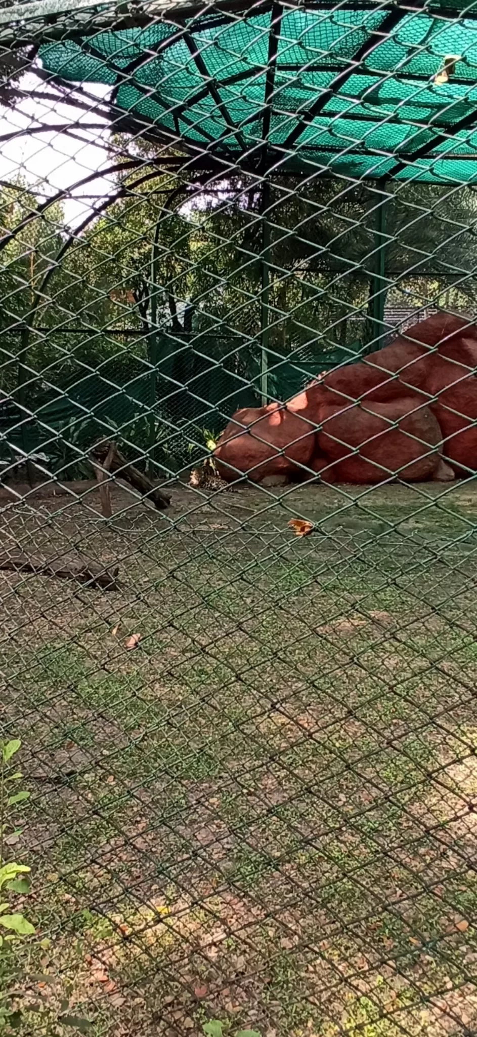 Photo of nehru zoological park, Hyderabad