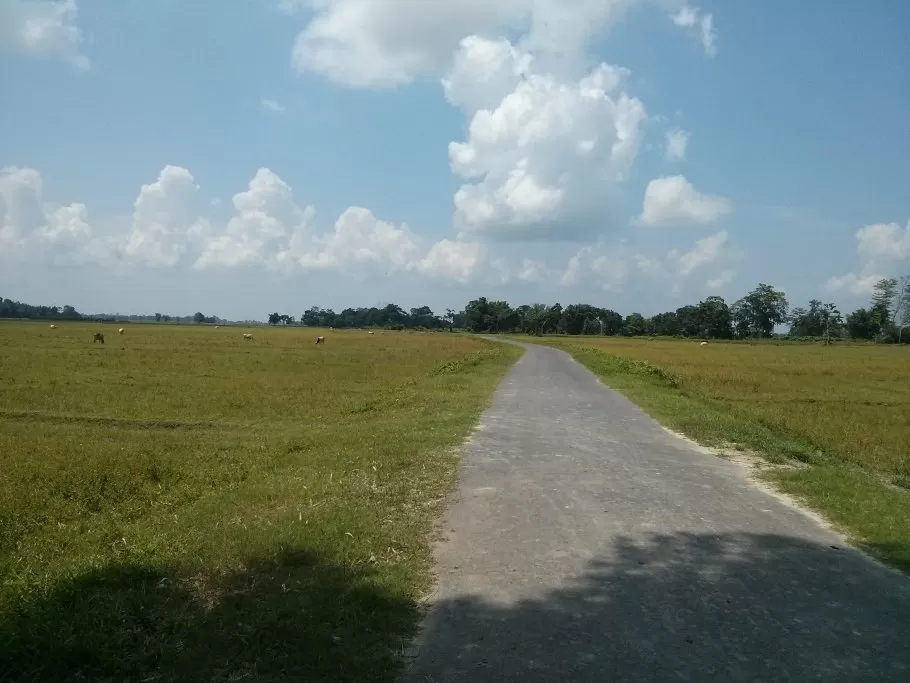 Photo of Majuli Island, Jorhat