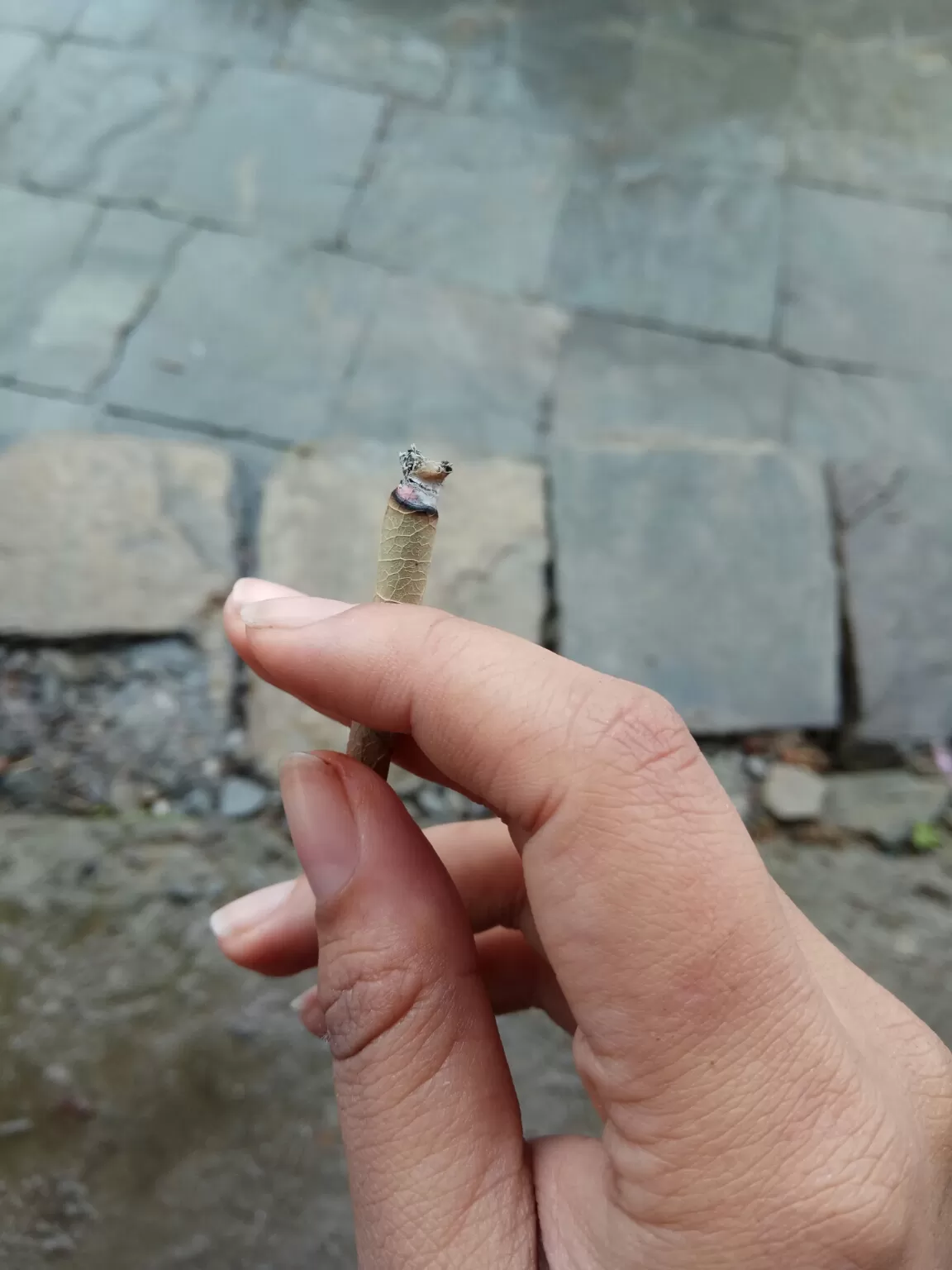 Photo of Serolsar Lake, jibhi