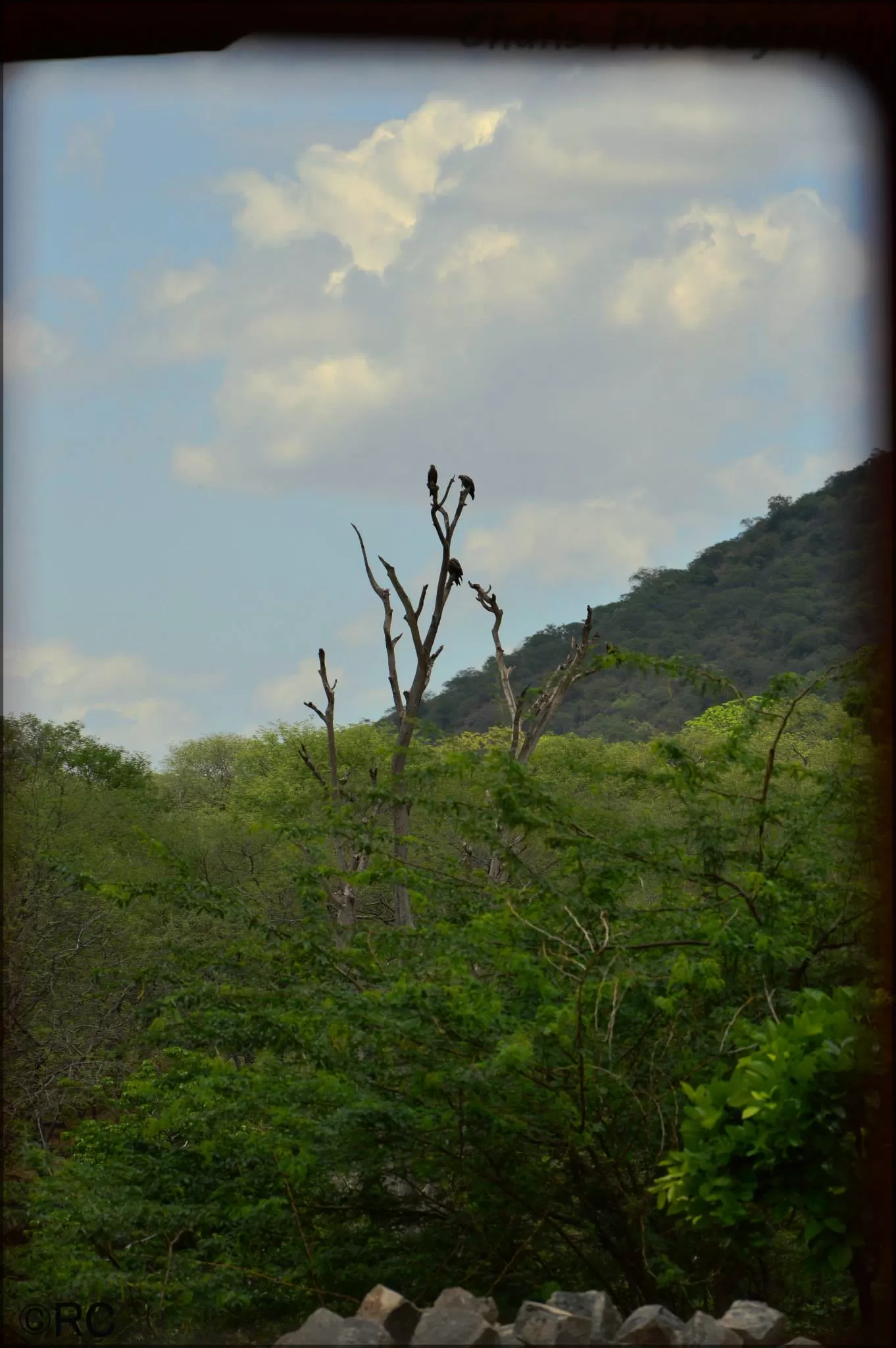 Photo of Hogenakkal Falls, Dharmapuri