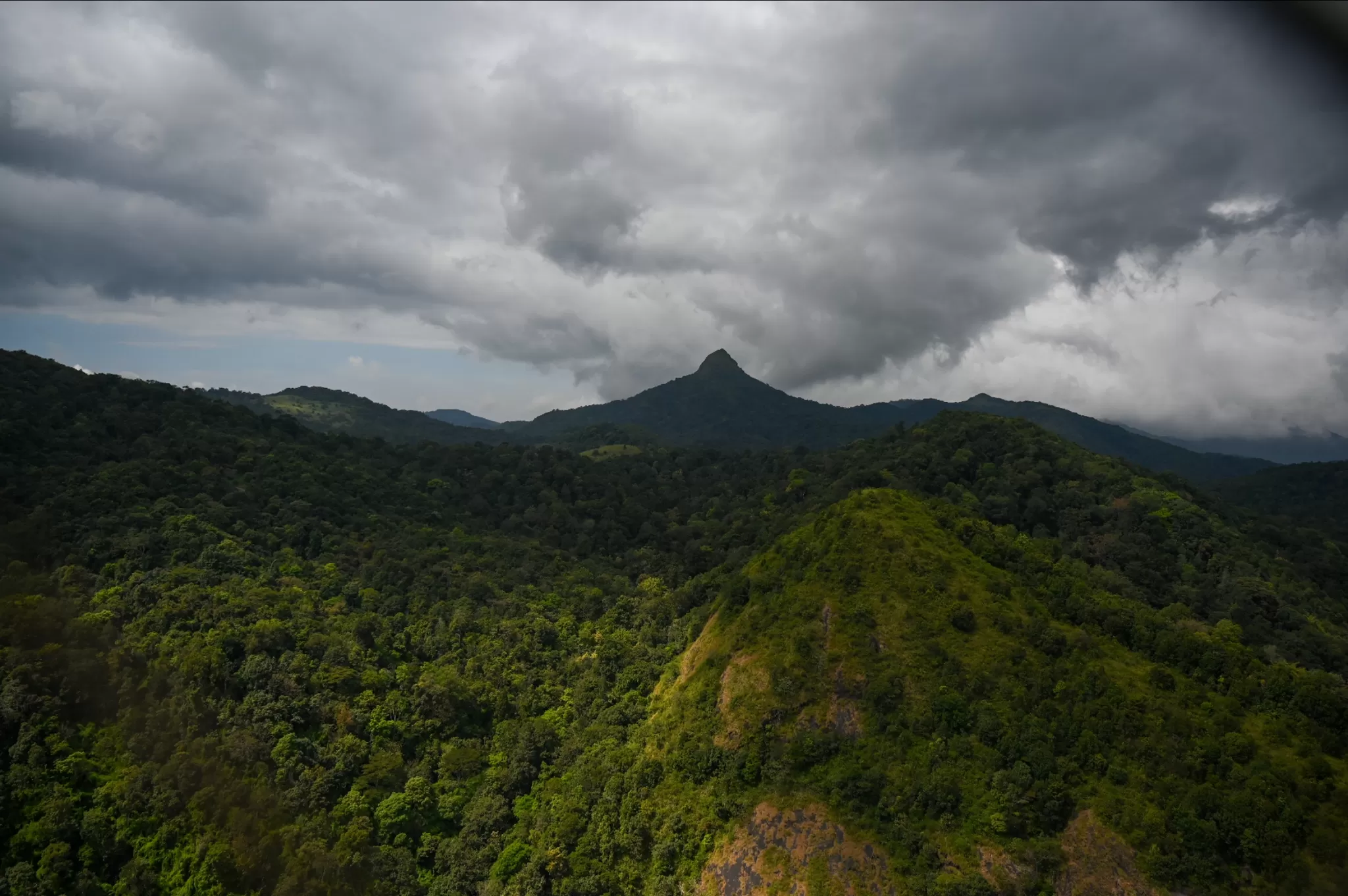 Photo of Silent Valley National Park, Palakkad