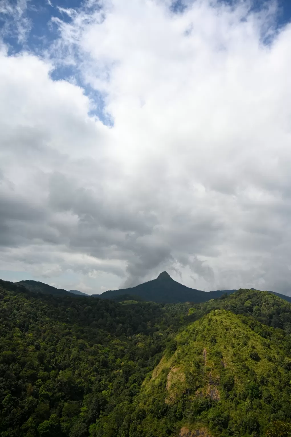Photo of Silent Valley National Park, Palakkad