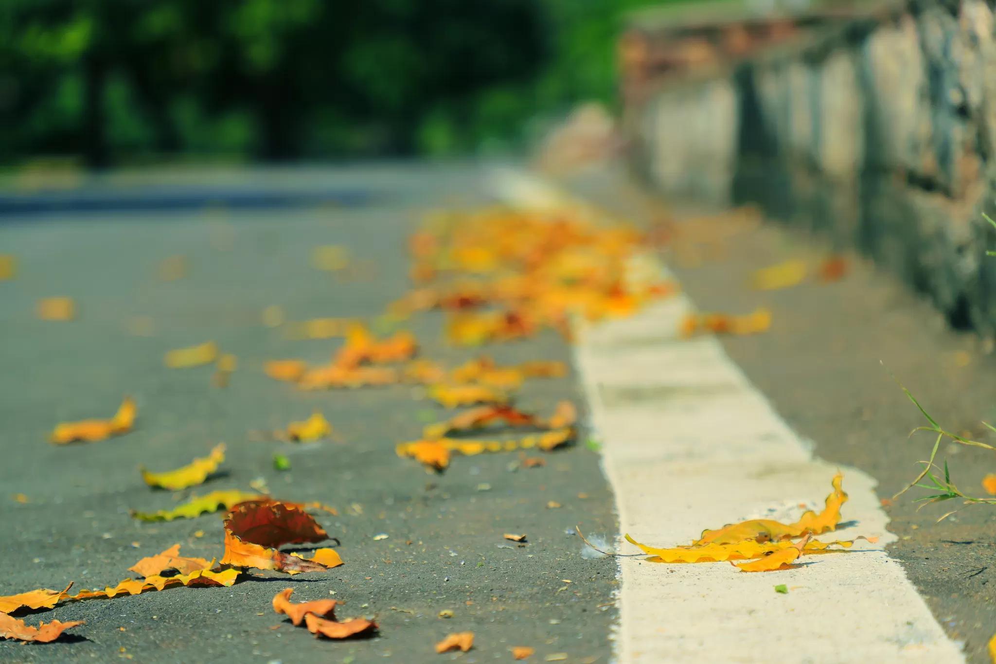 Photo of mandore gardens, Jodhpur