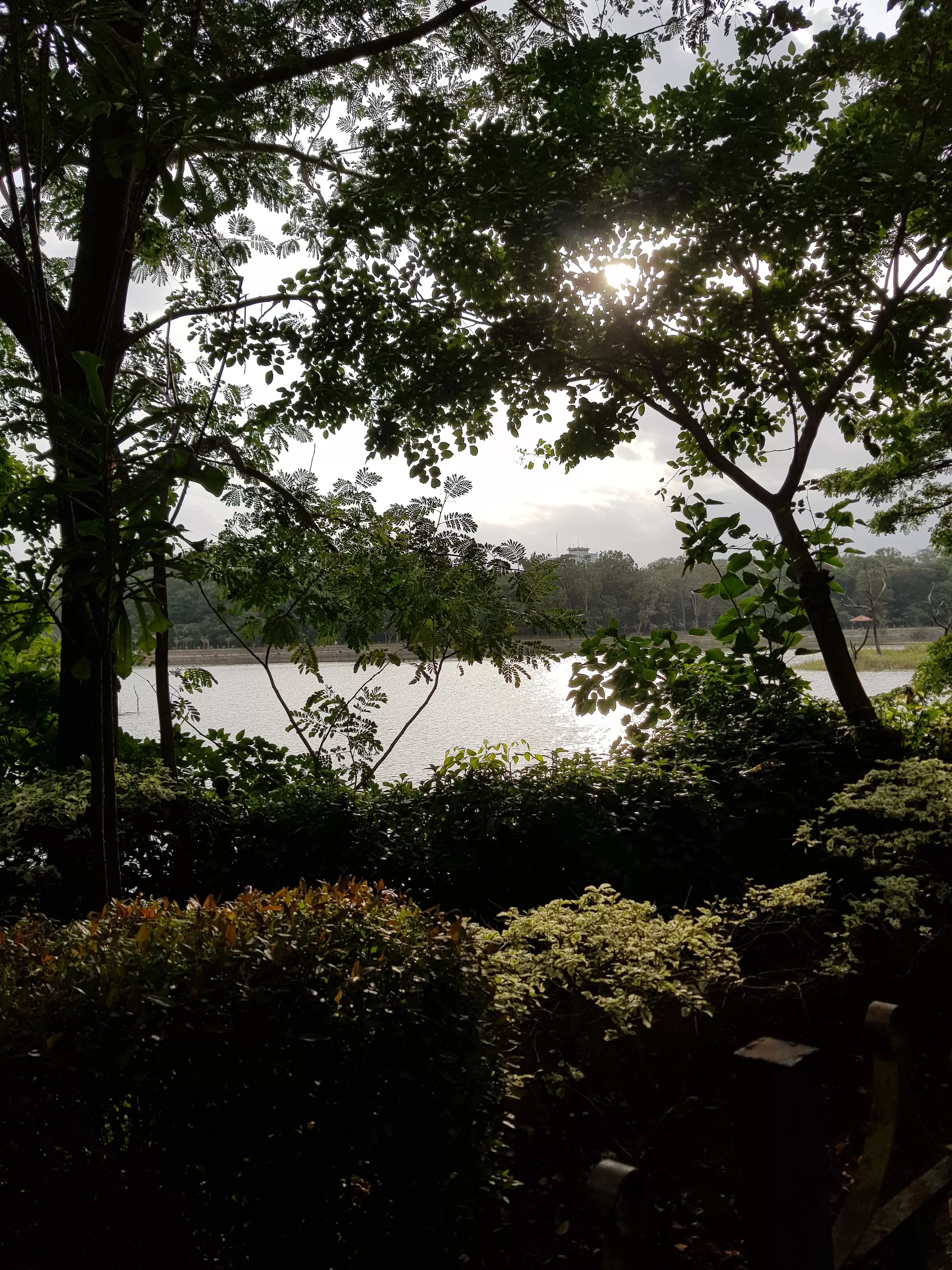 Photo of sankey tank, Bangalore