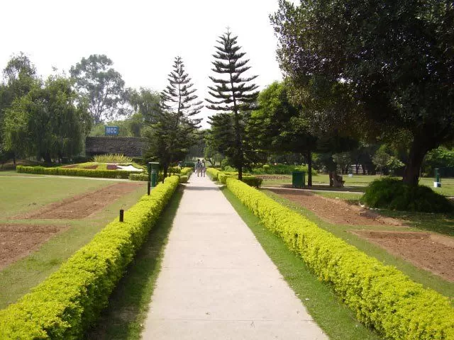 Photo of rose garden chandigarh, Chandigarh
