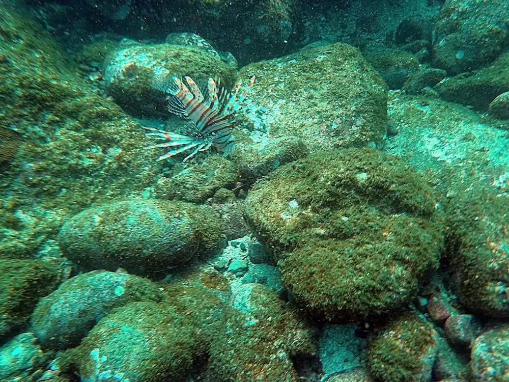 Photo of netrani island, Murudeshwar