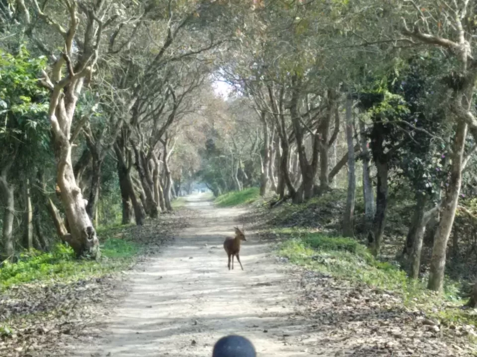 Photo of kanchenjunga national park, Gangtok