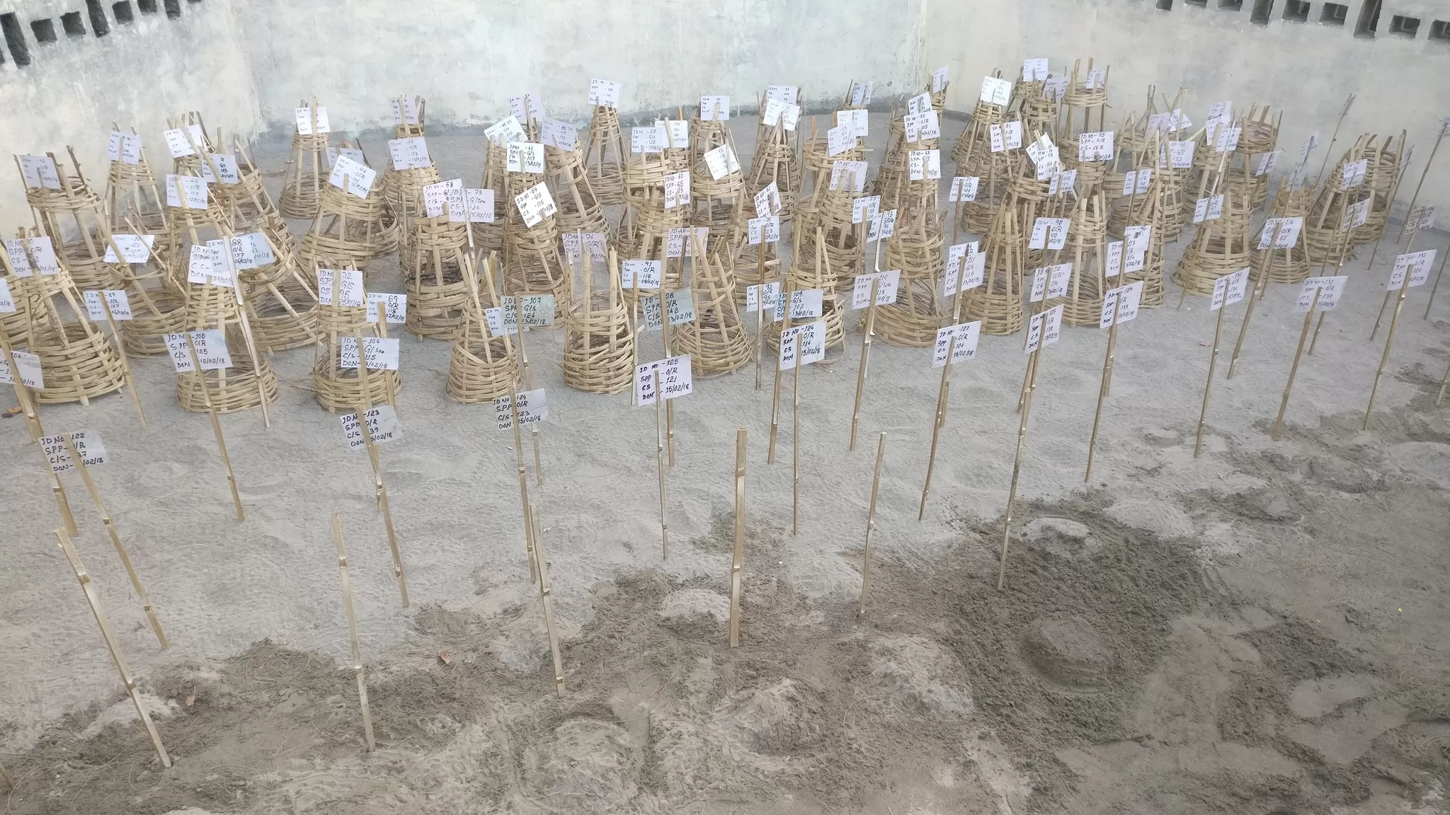 Photo of Diglipur, Andaman and nicobar islands