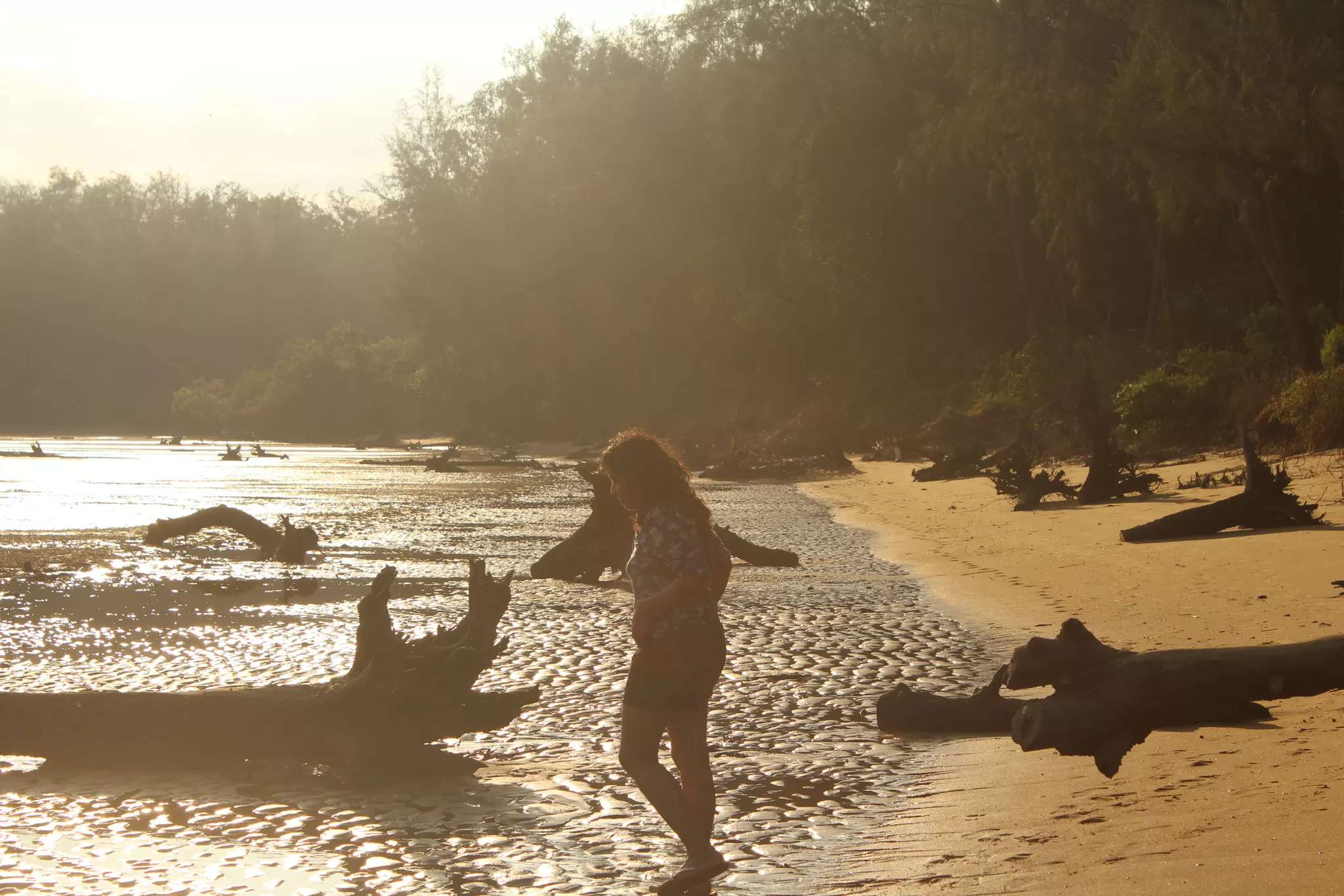 Photo of Devbag Beach, Malvan