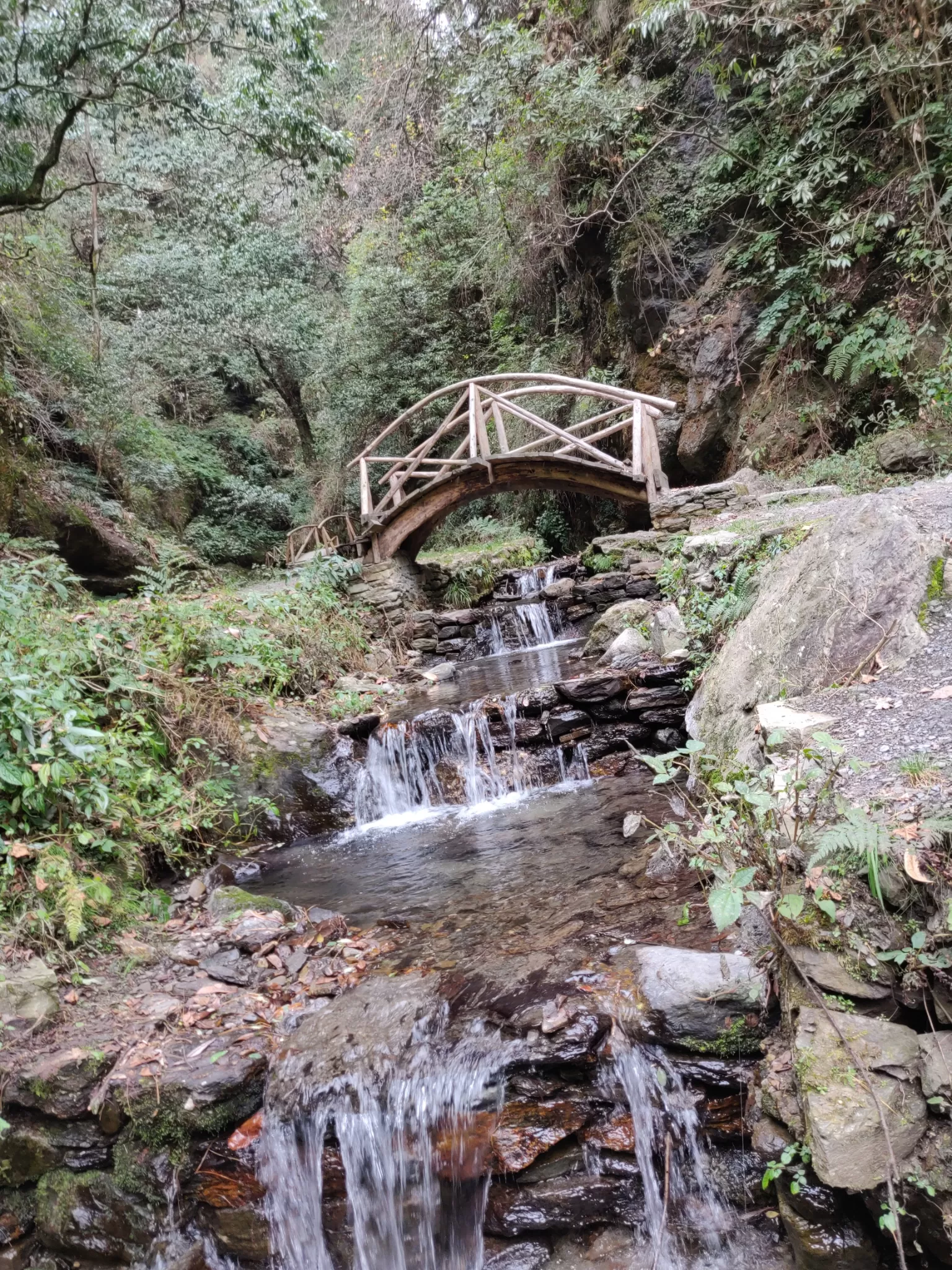 Photo of Jibhi Waterfalls, jibhi