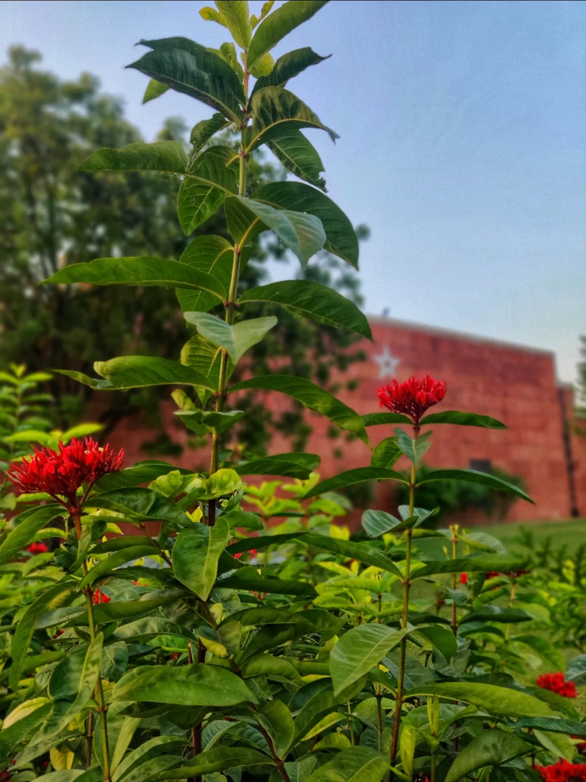 Photo of jawahar kala kendra, jaipur