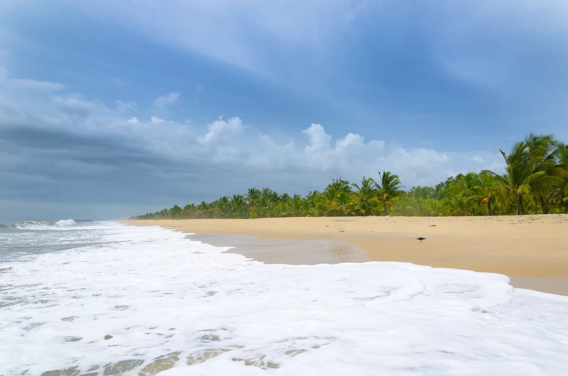 Photo of Marari Beach, Alleppey