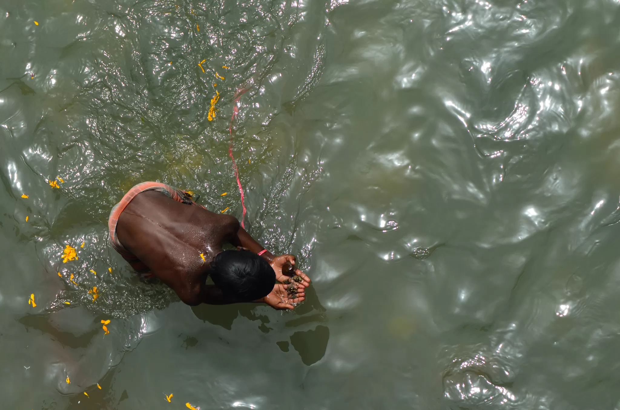 Photo of har ki pauri, Haridwar