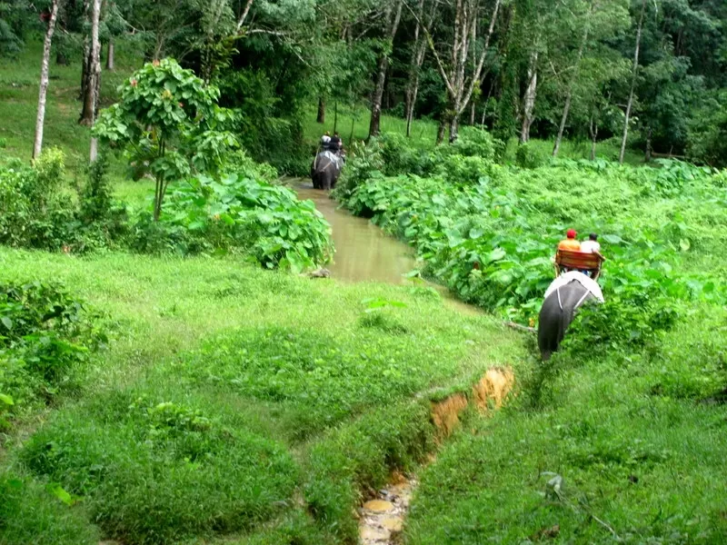 Photo of Khao Sok, Thailand