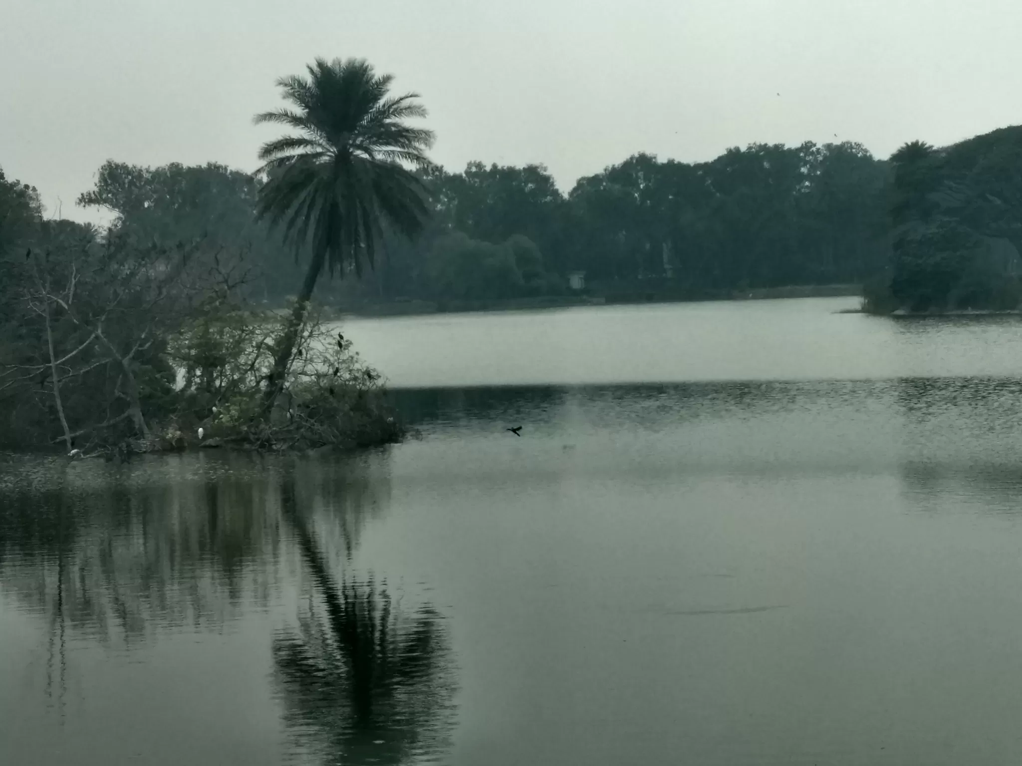 Photo of lal bagh botanical garden, Bangalore