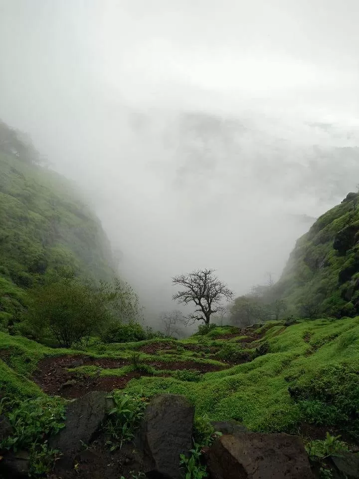 Photo of Raigad Fort, Raigad