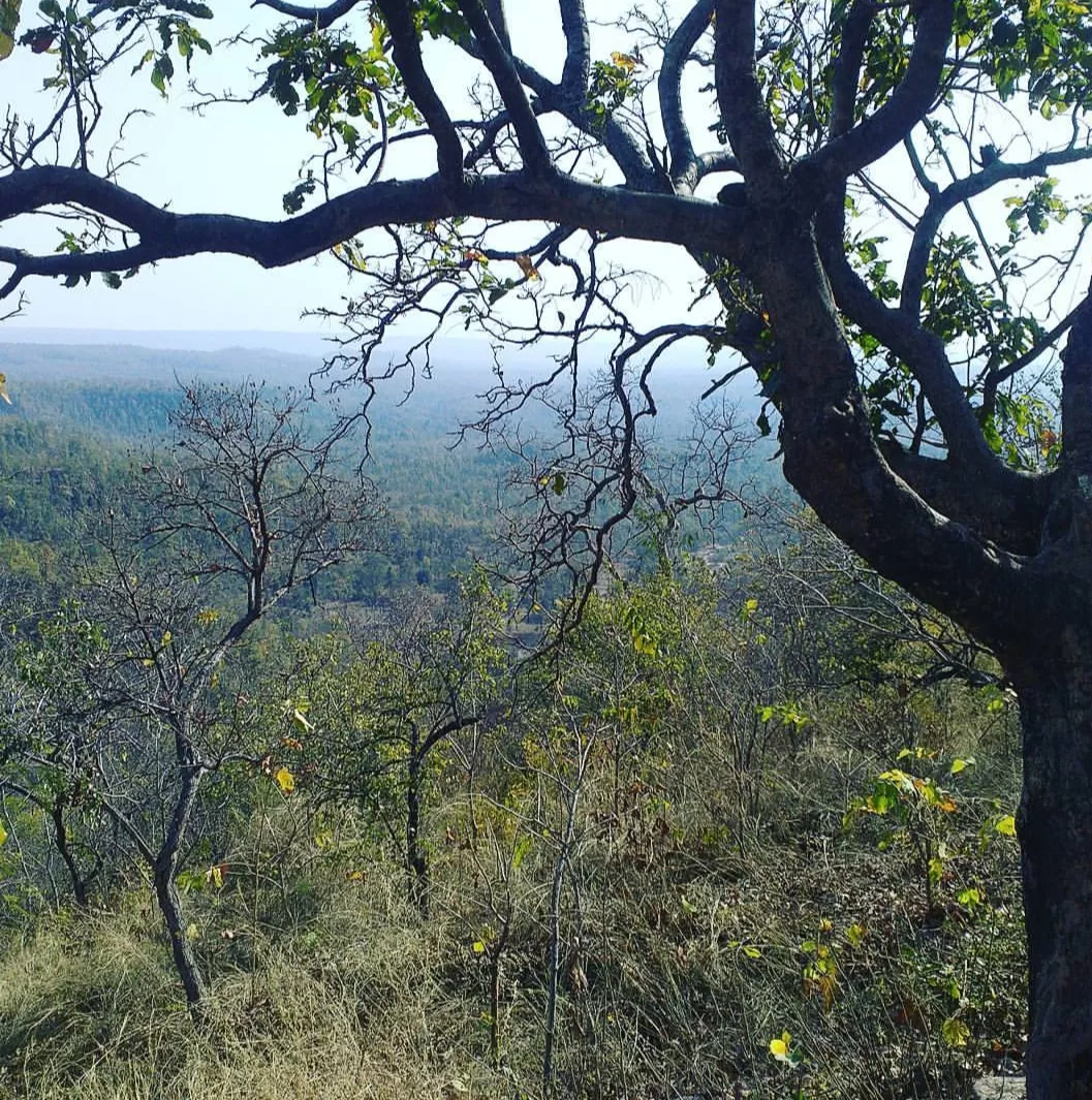 Photo of betla national park, netarhat