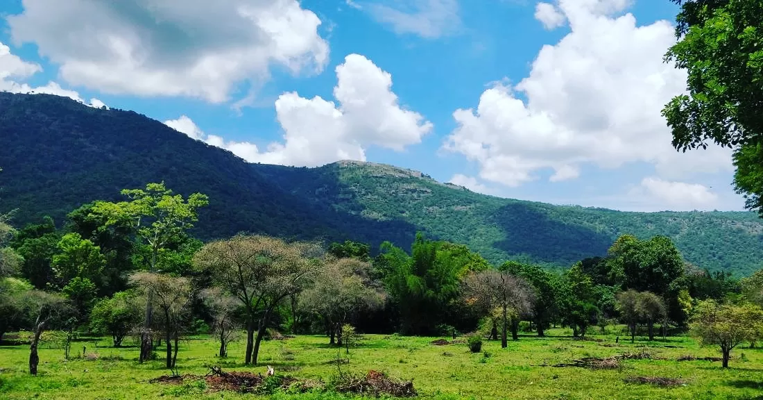 Photo of Sathyamangalam Tiger Reserve, Erode