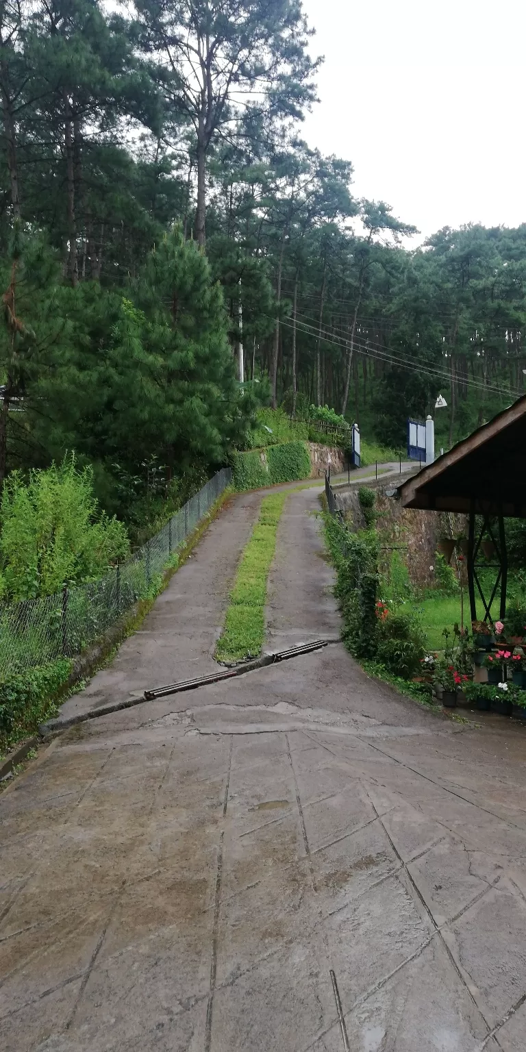 Photo of laitlum canyon, Shillong