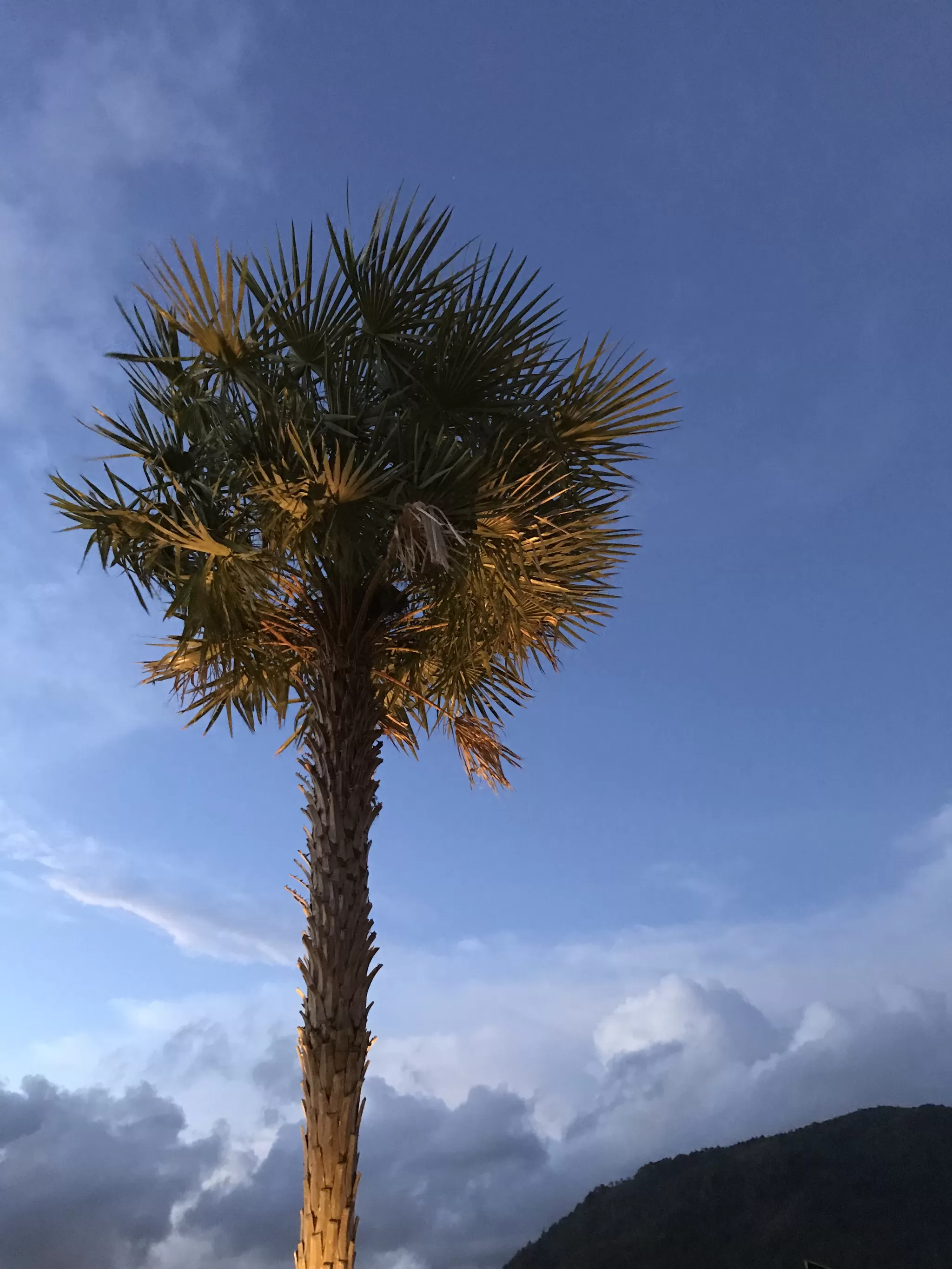 Photo of Patong Beach, Phuket