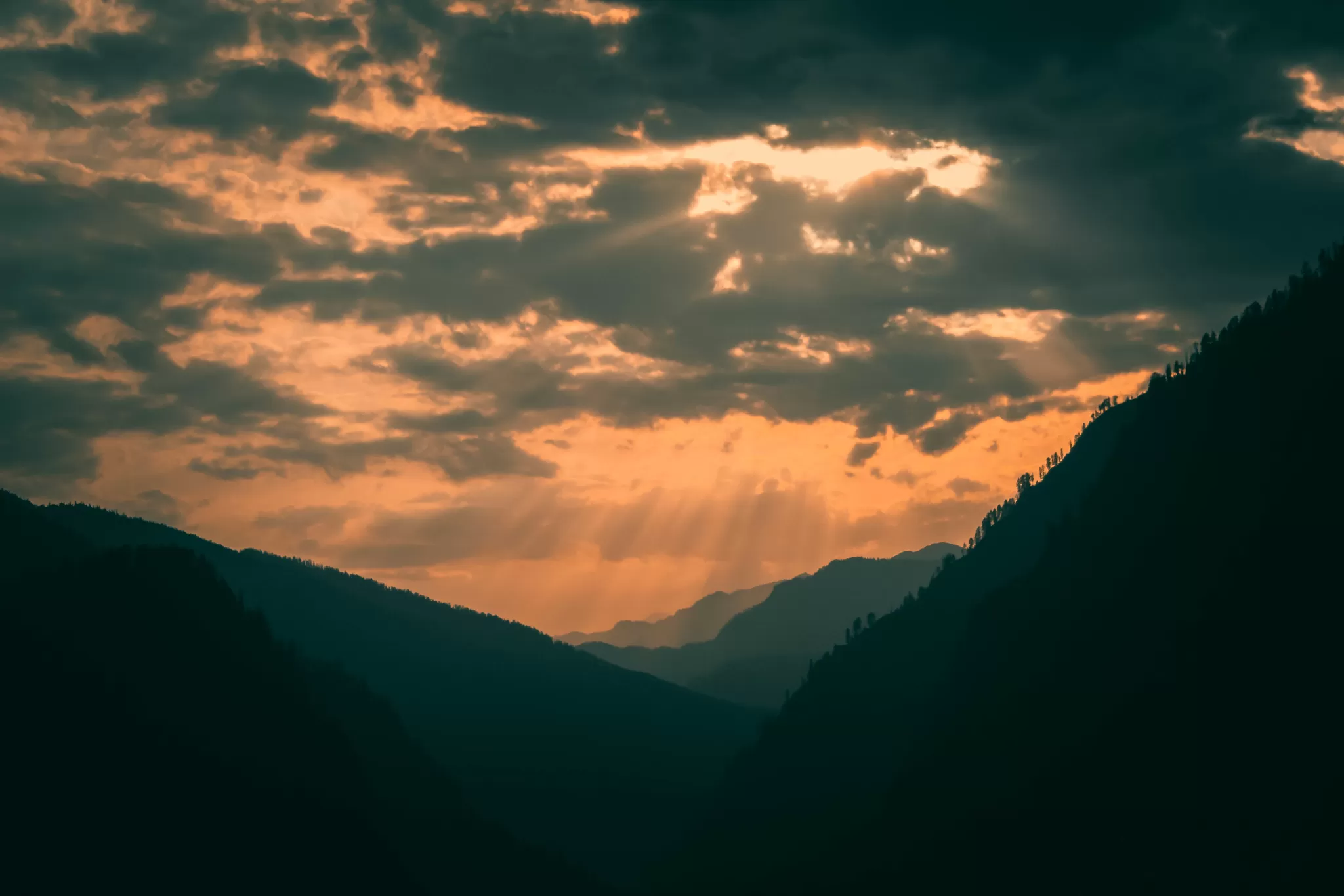 Photo of Pulga, Himachal Pradesh