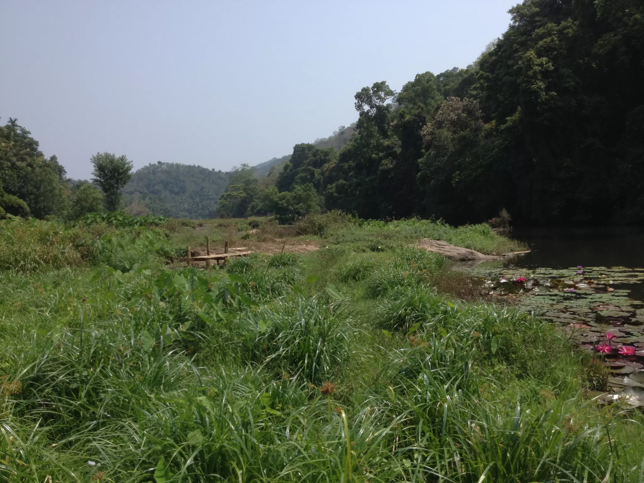 Photo of Mullaperiyar Dam, Thekkady