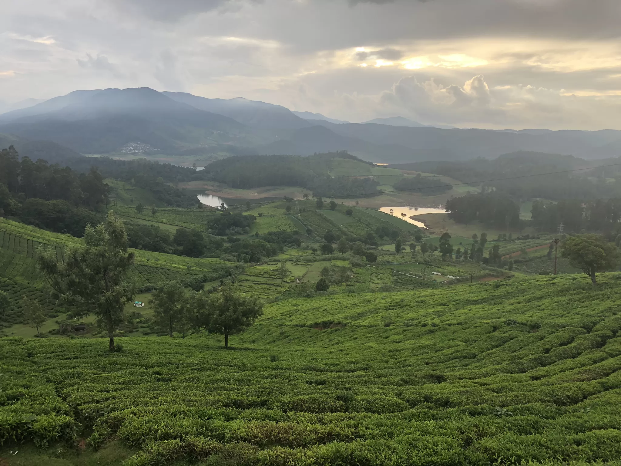 Photo of avalanche lake, Ooty