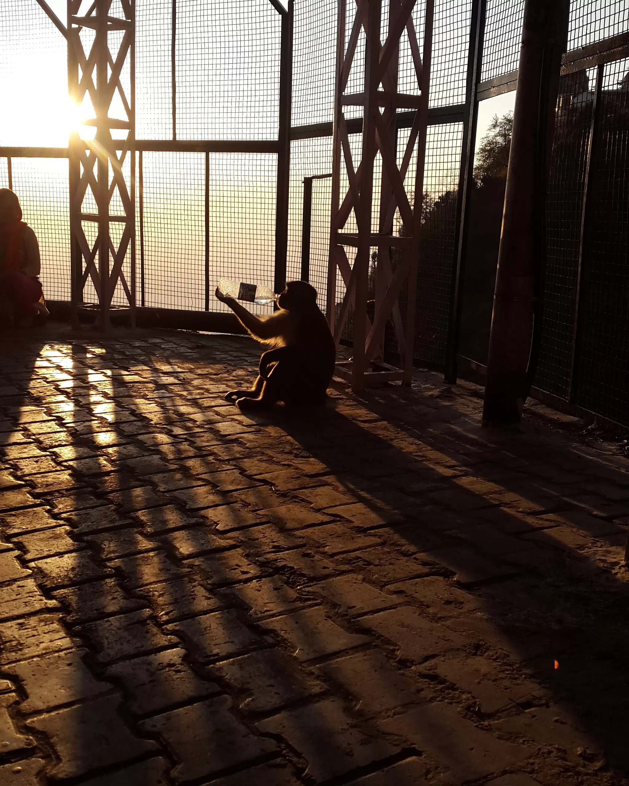 Photo of Vaishno Devi, Katra