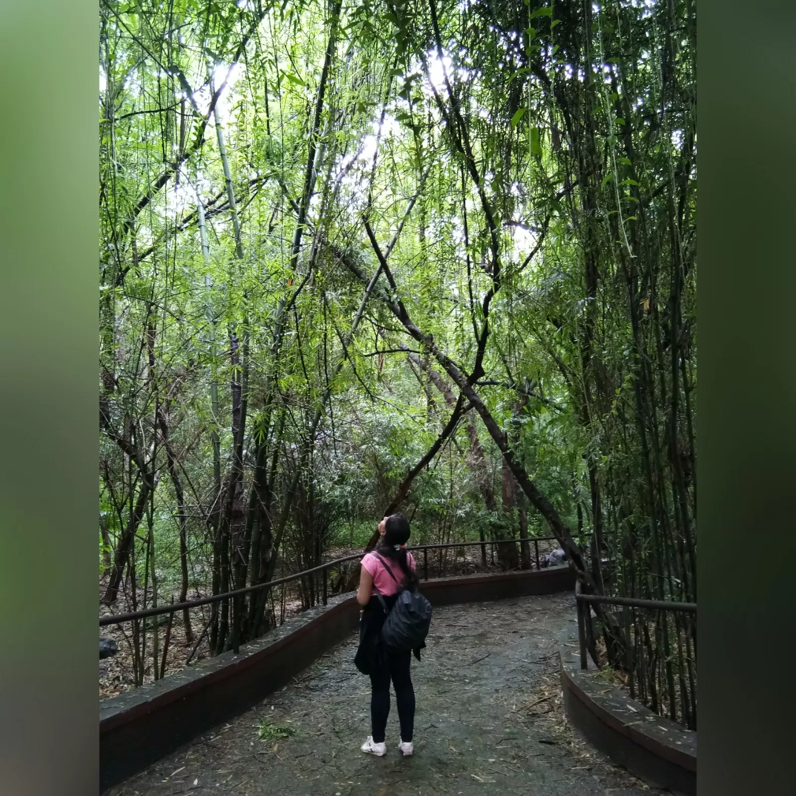 Photo of Rajiv Gandhi Zoological Park, Pune