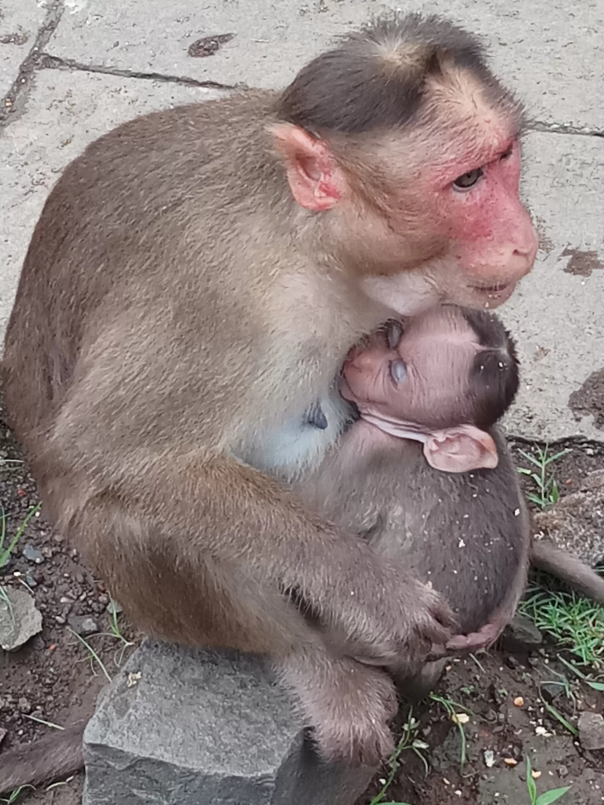 Photo of Elephanta Caves, Mumbai