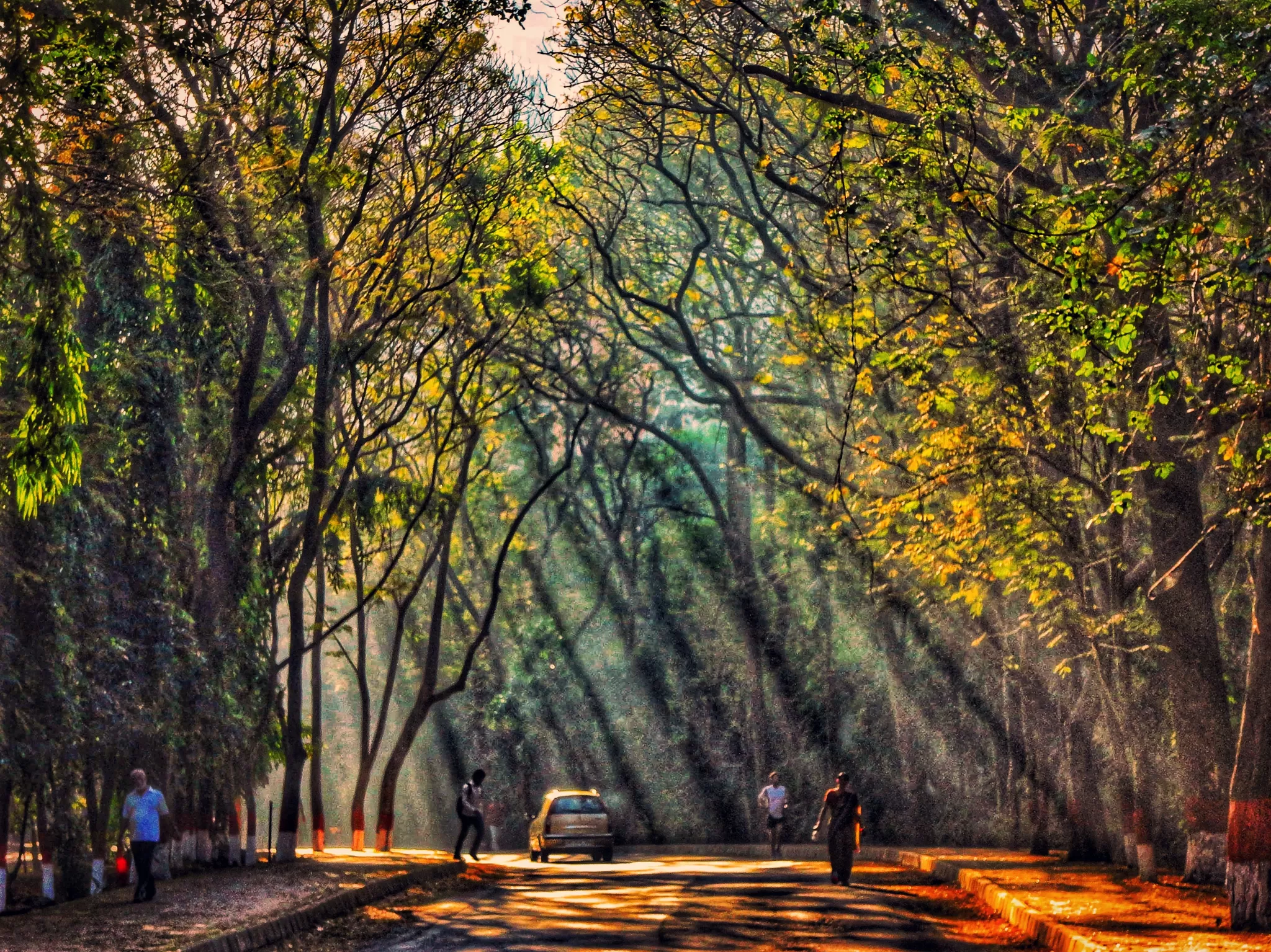 Photo of Sanjay Gandhi National Park, Mumbai