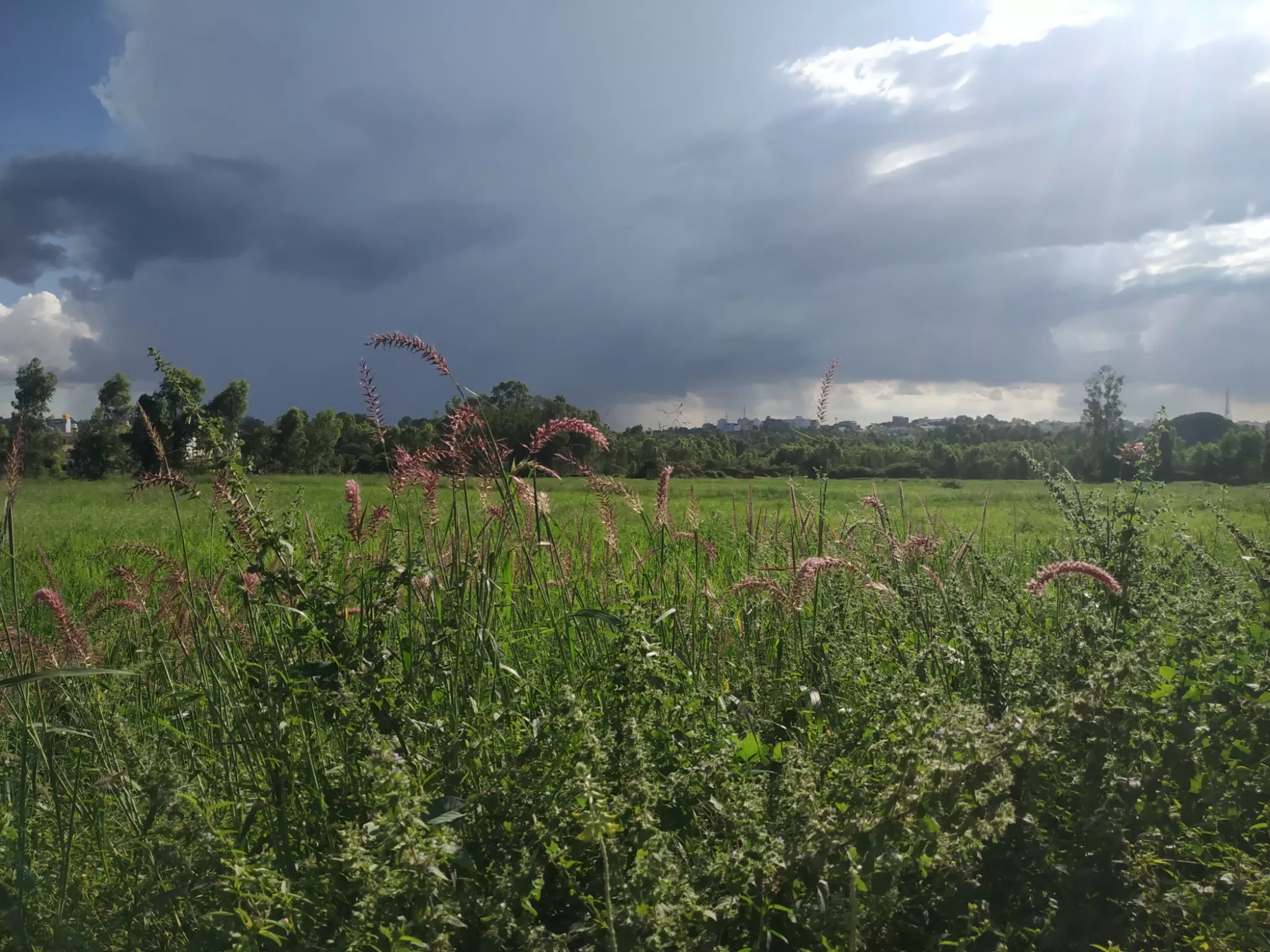 Photo of hesaraghatta, Bangalore
