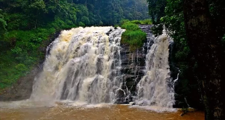 Photo of abbey falls, Coorg