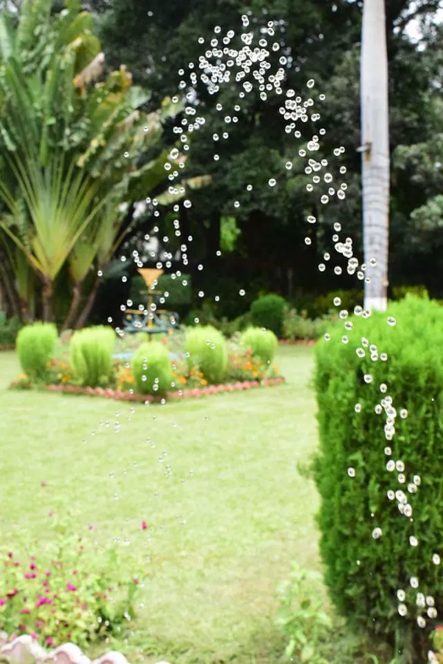 Photo of saheliyon ki bari, Udaipur