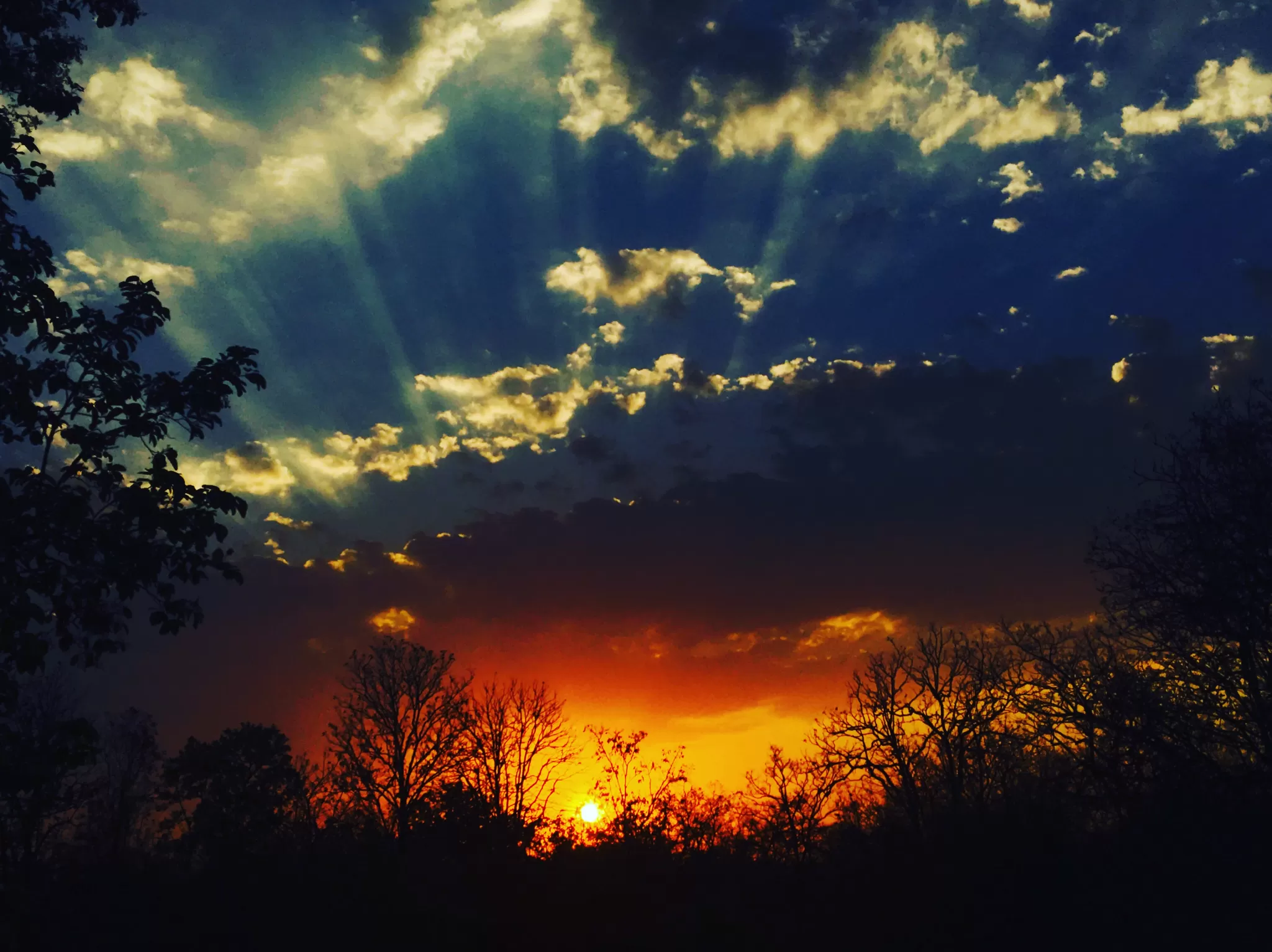Photo of Bandhavgarh National Park, Umaria district