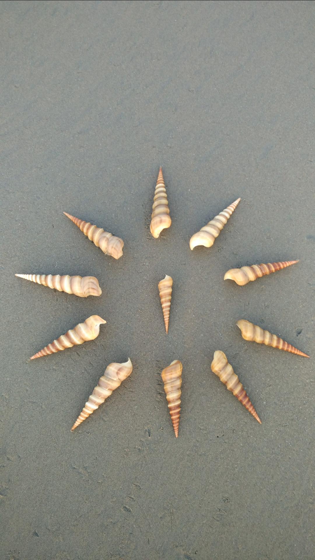 Photo of Miramar Beach, Goa